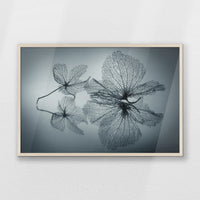 PN-093W062