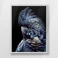 LWW060W080