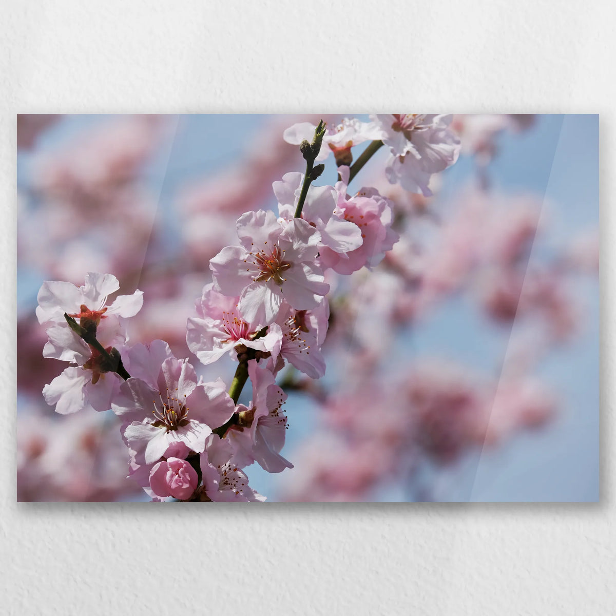 AC-045W030
