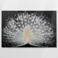 AC-090W060