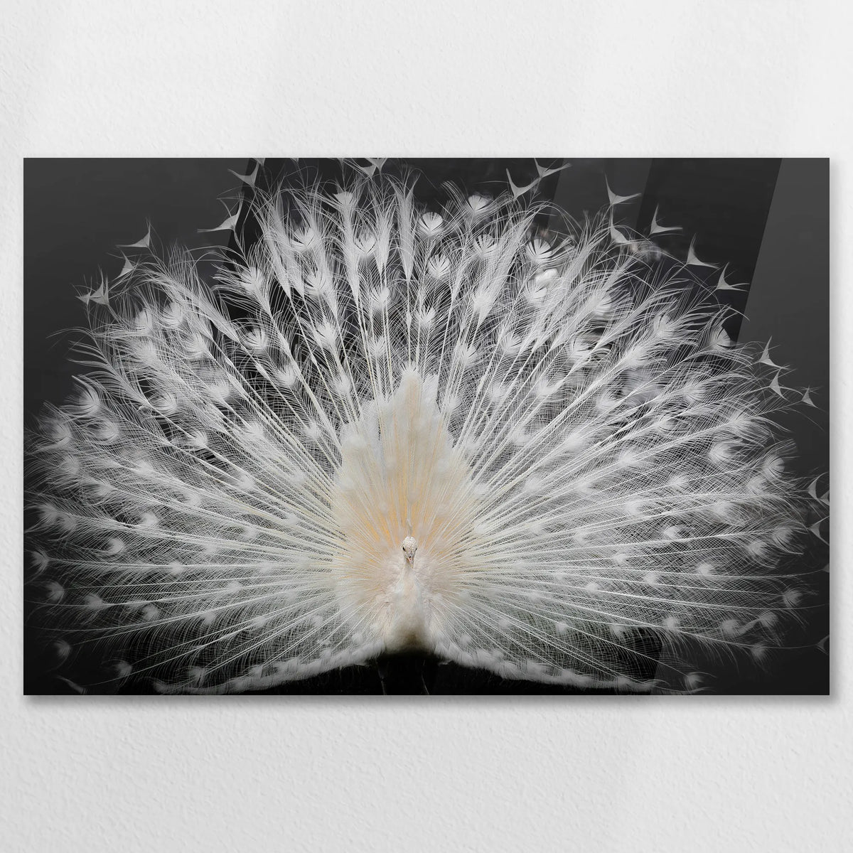 AC-090W060