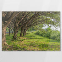 AC-075W050
