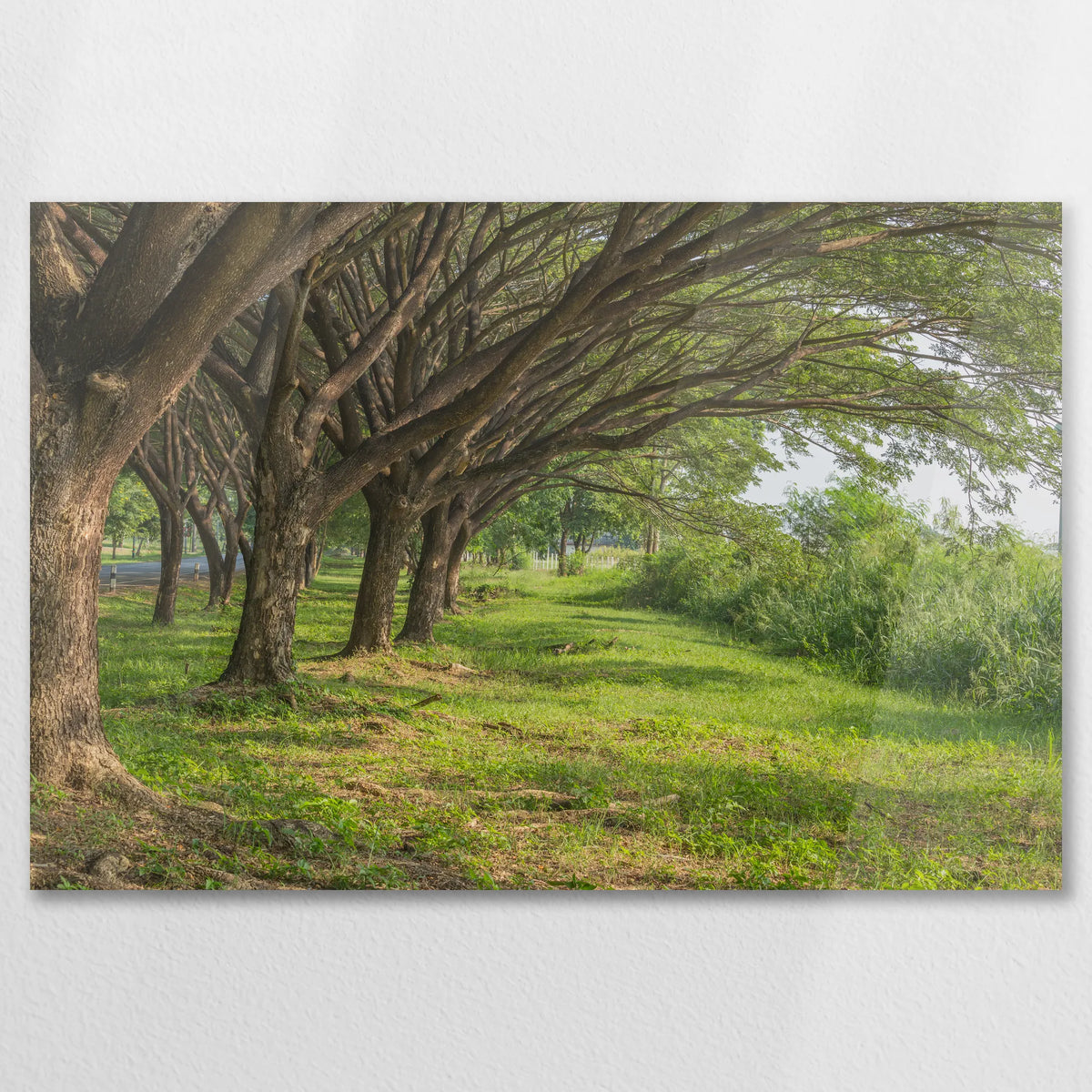 AC-075W050
