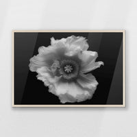 PN-093W062
