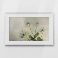 PWP093W062