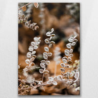 LW-080W120