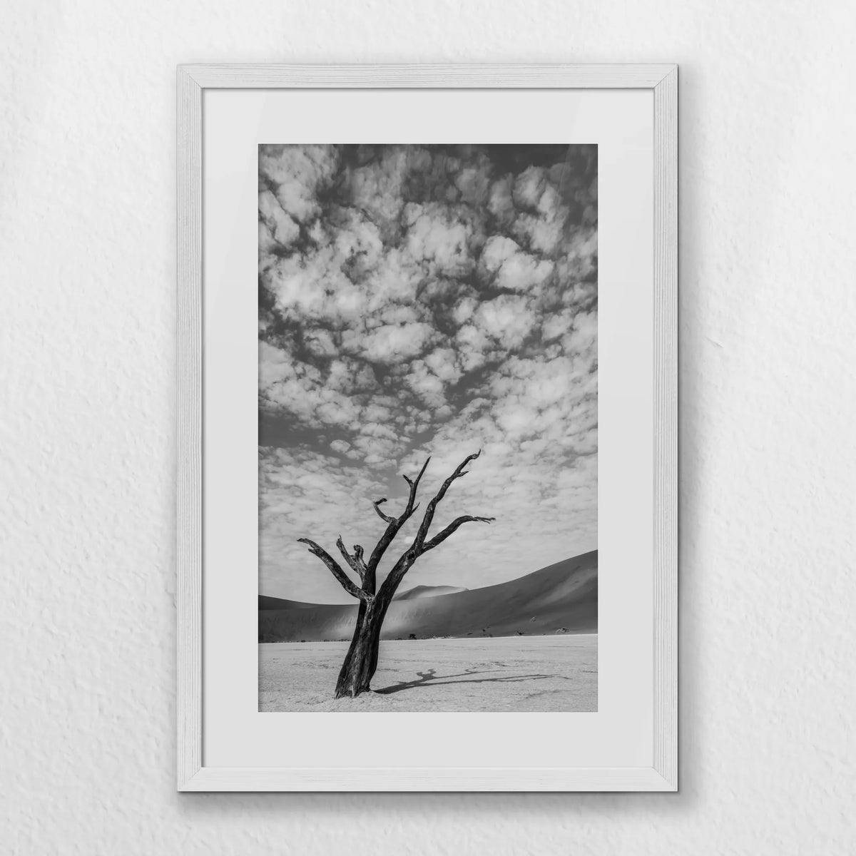 PWP040W060