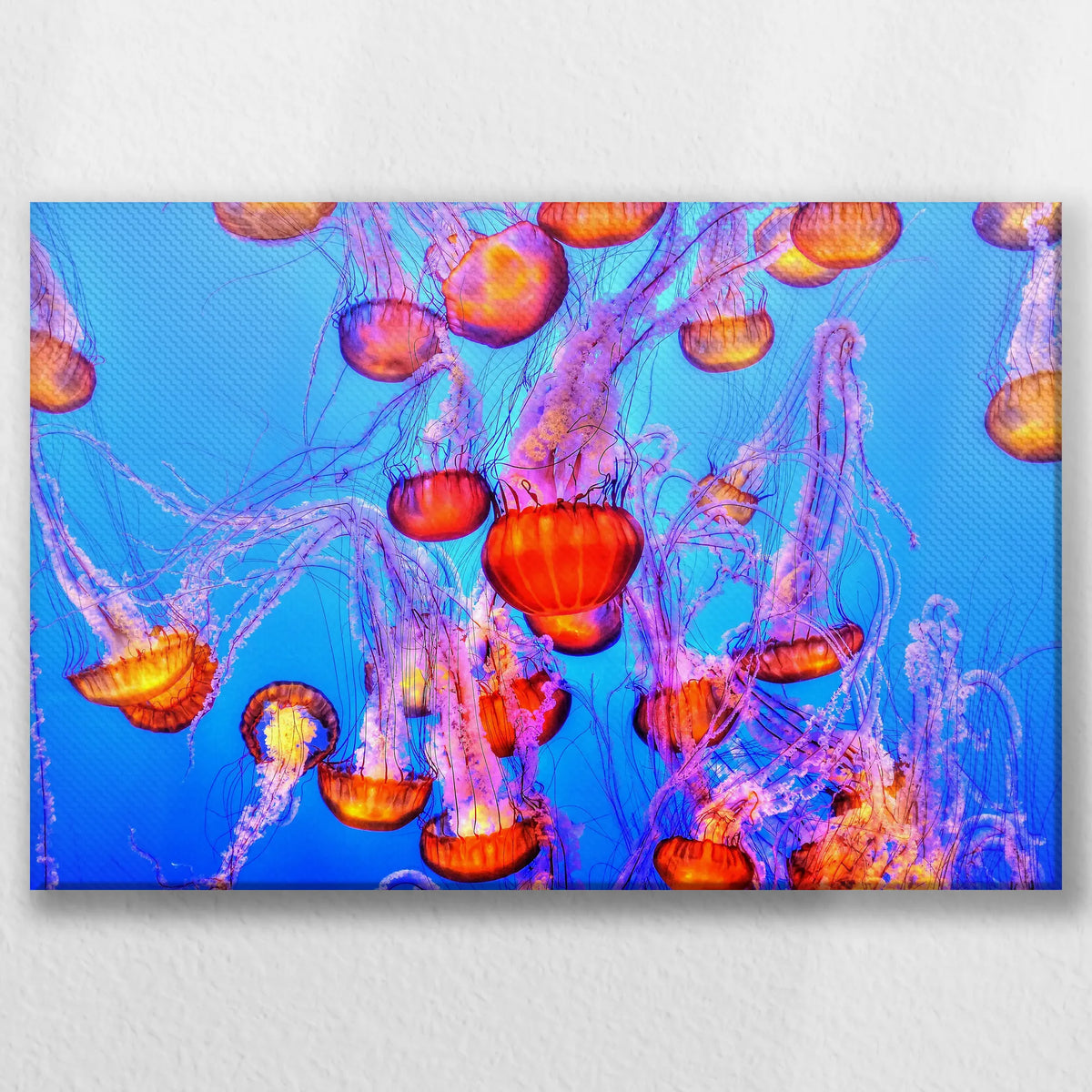 LW-045W030
