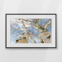 PBP060W040