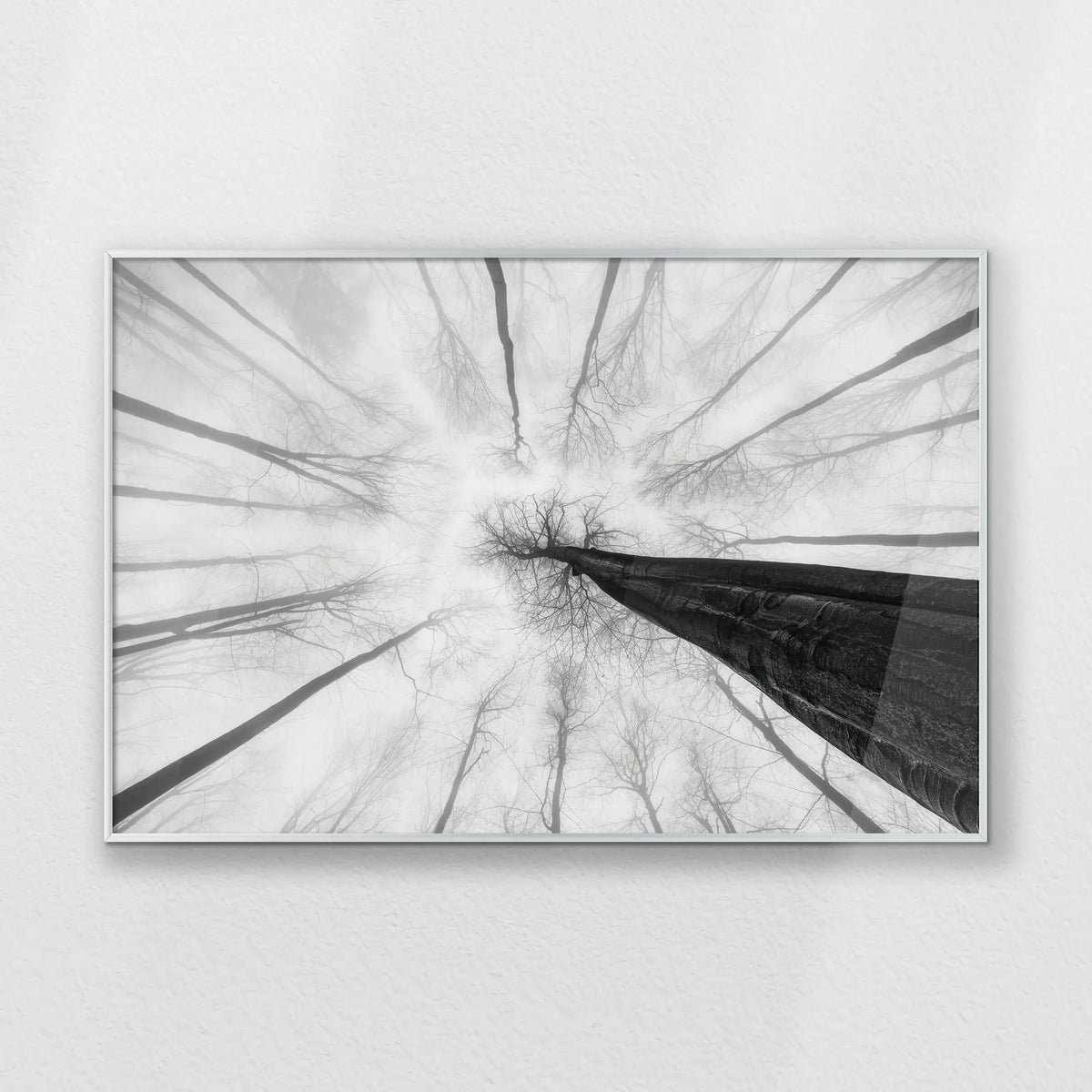 PS-093W062