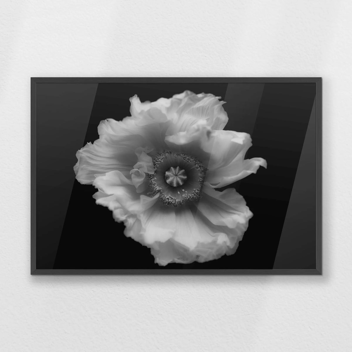 PK-093W062