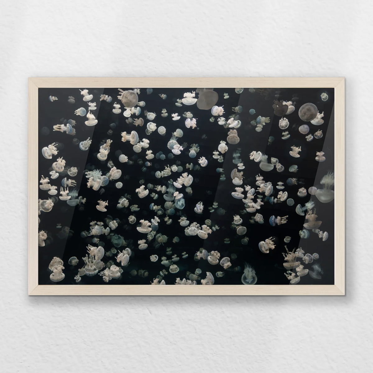 PN-060W040