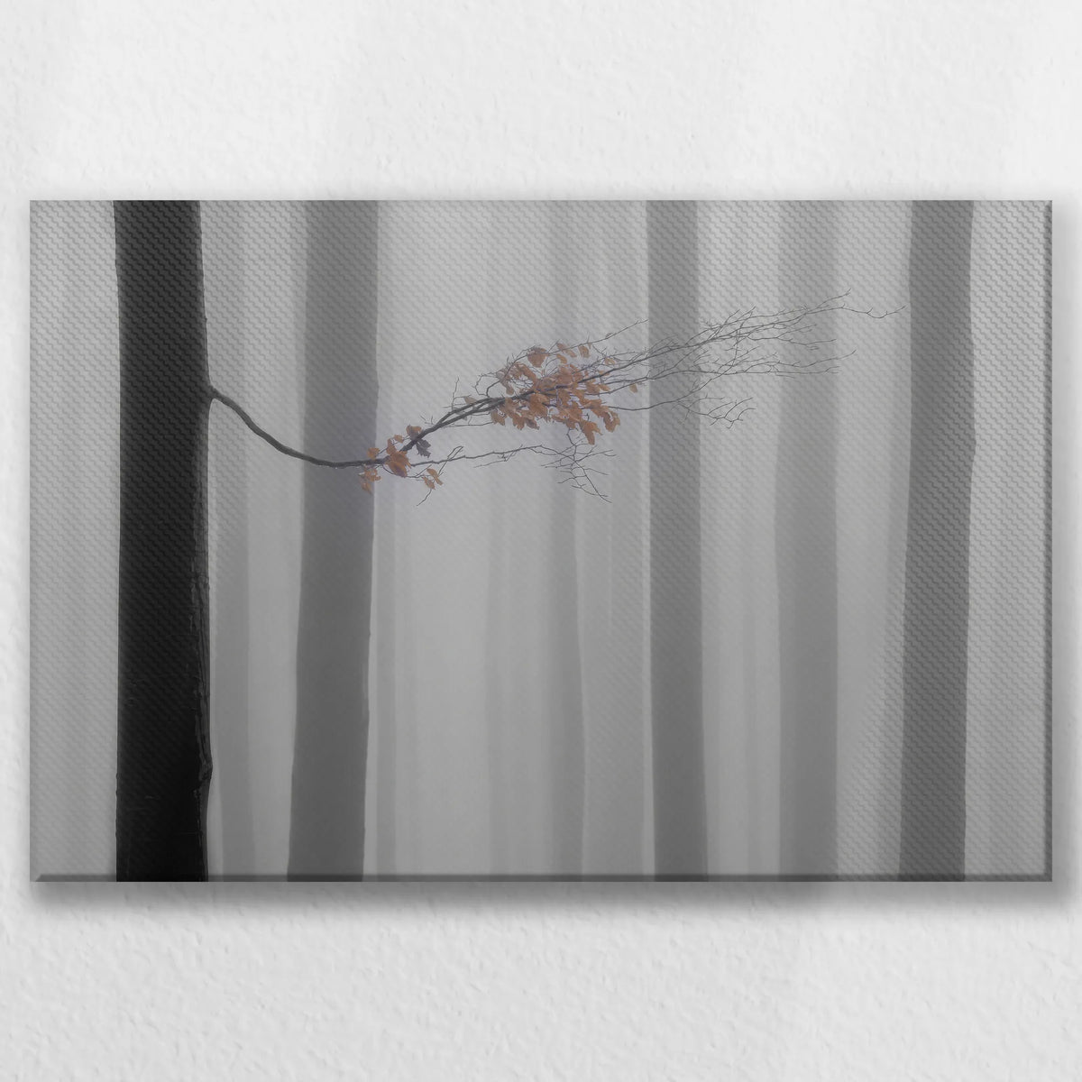 LW-030W020