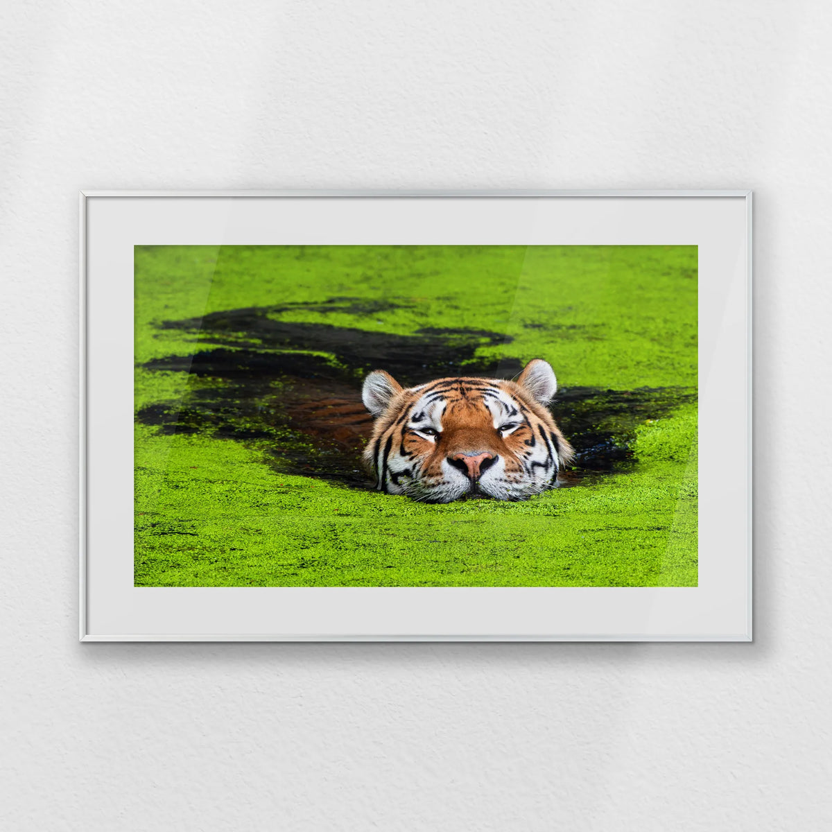 PSP093W062