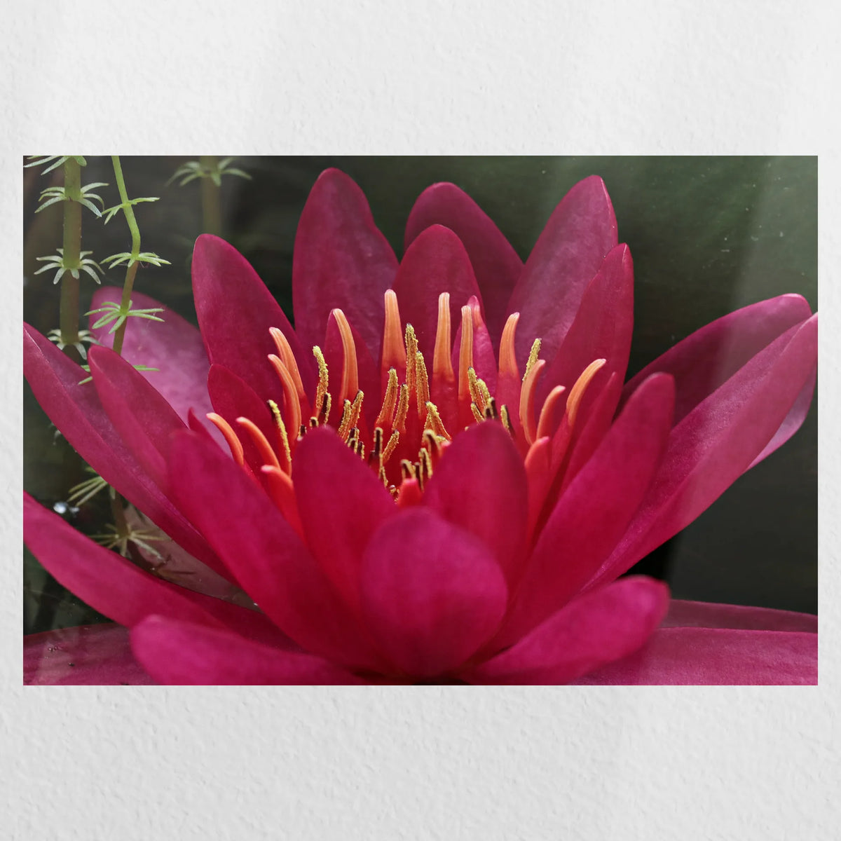 PO-060W040
