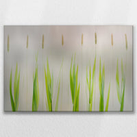 LW-075W050