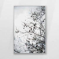 PS-080W120