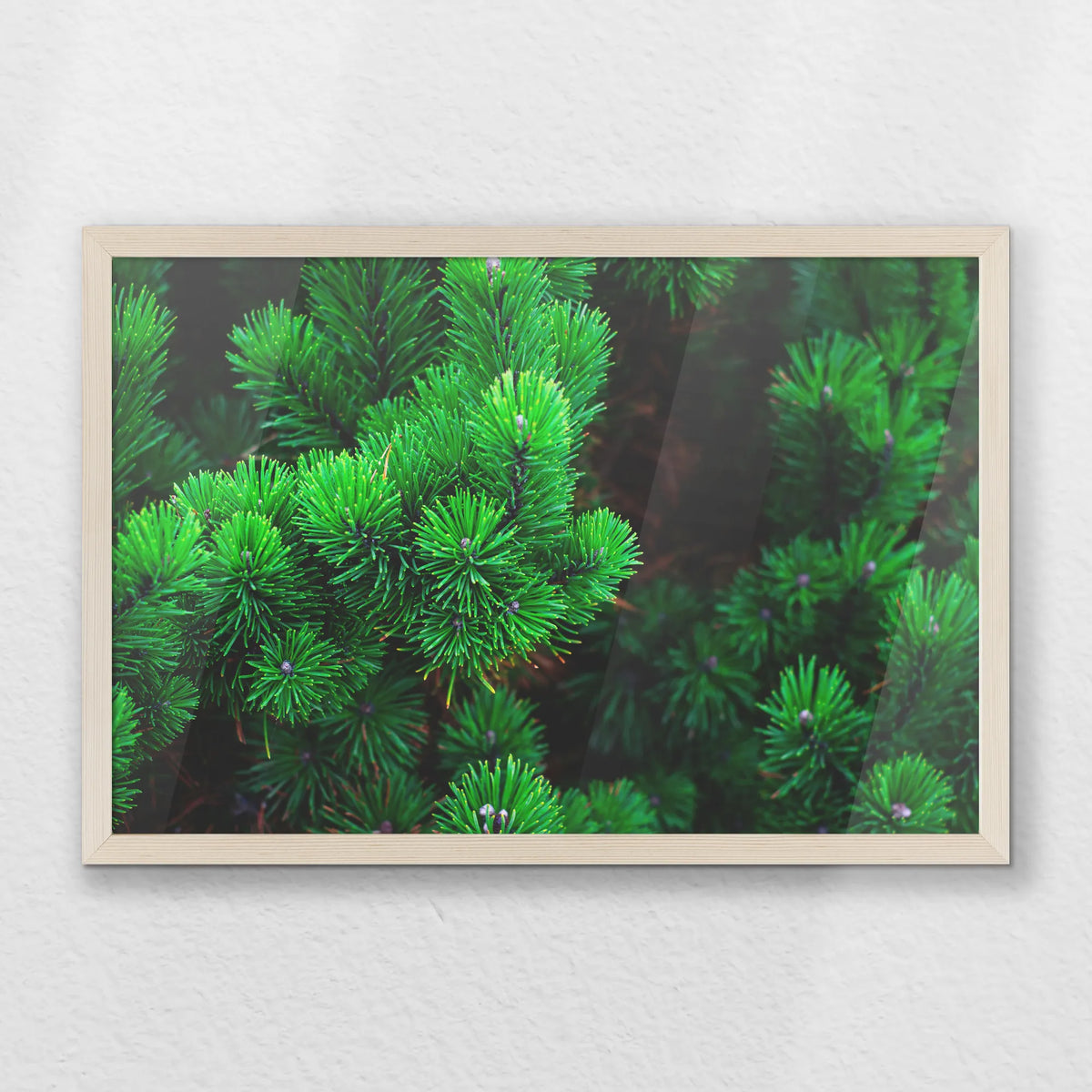 PN-060W040