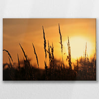 LW-045W030