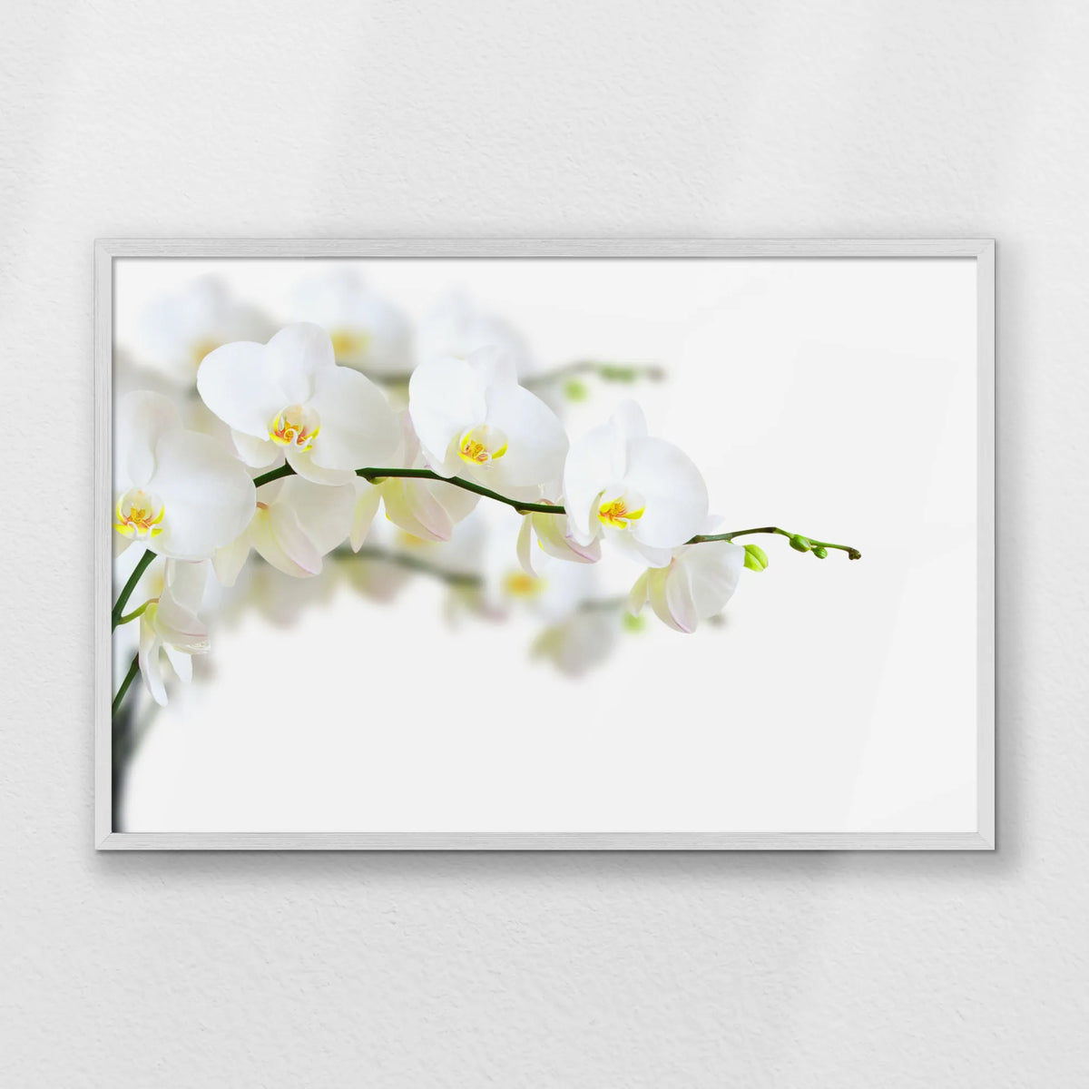 PW-093W062