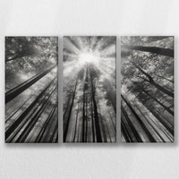 LW-060R040