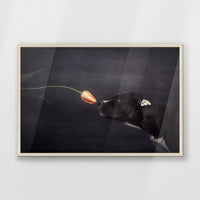 PN-093W062