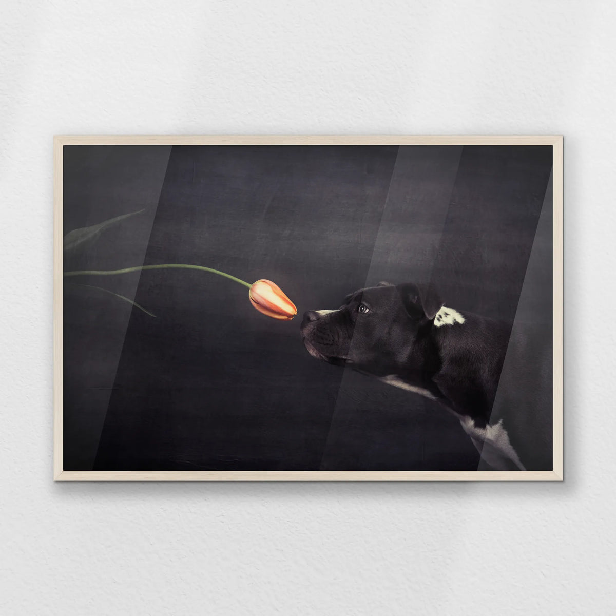 PN-093W062