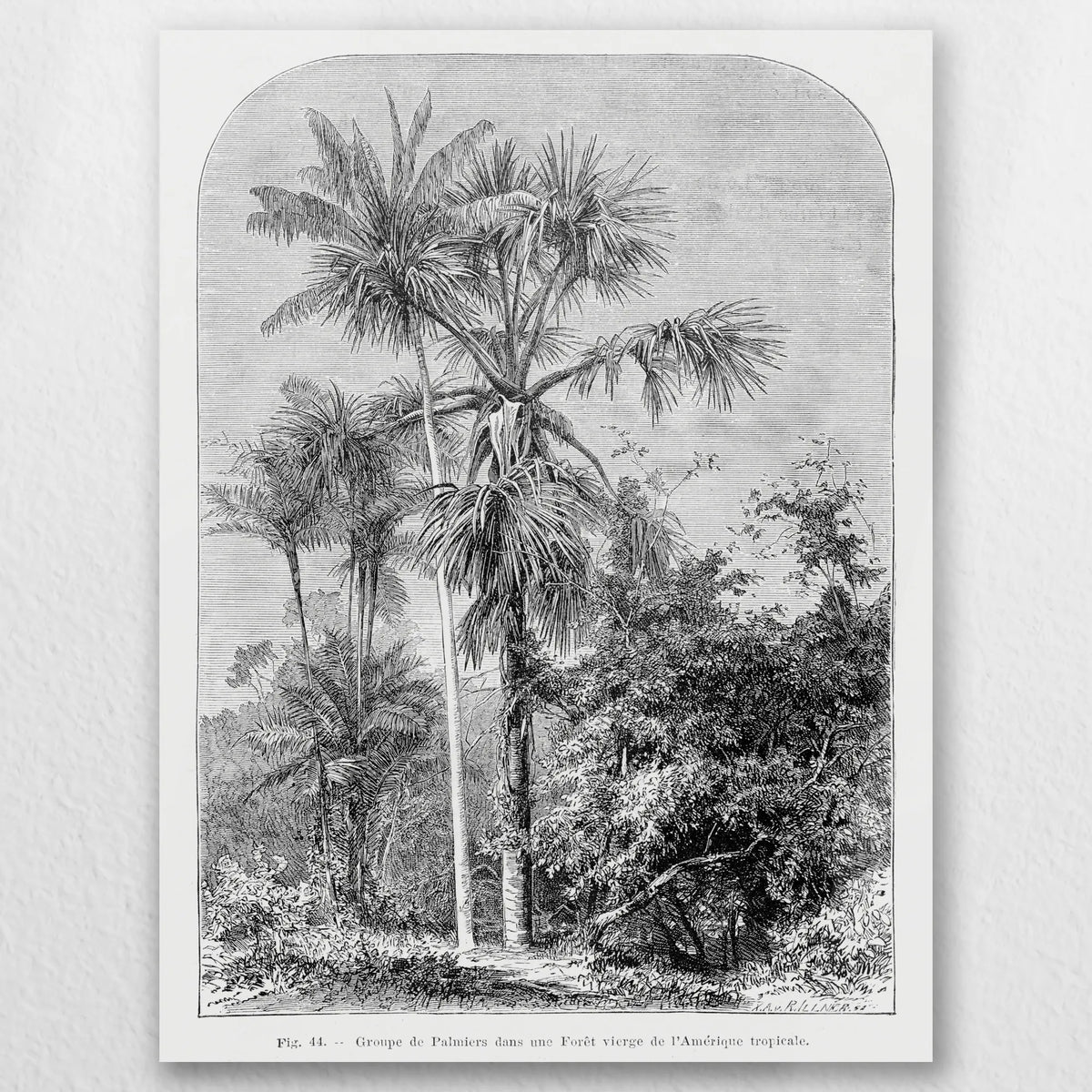 AC-045W060