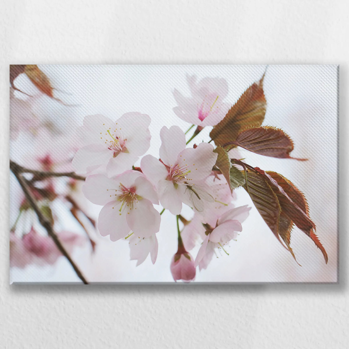 LW-030W020
