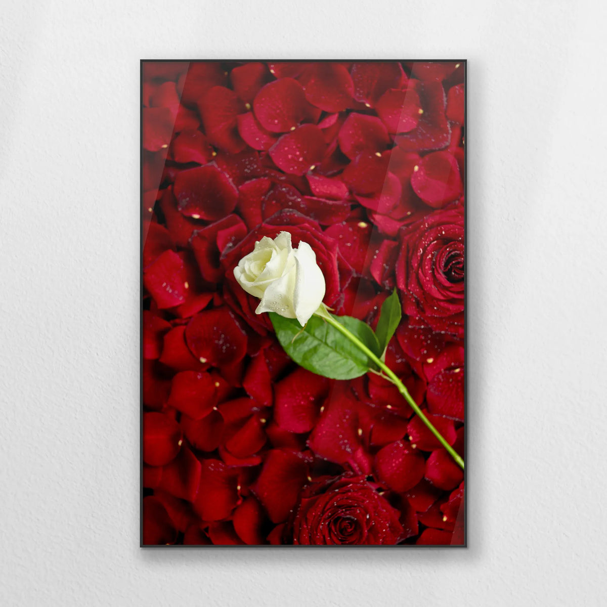 PB-080W120
