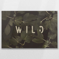 LW-075W050