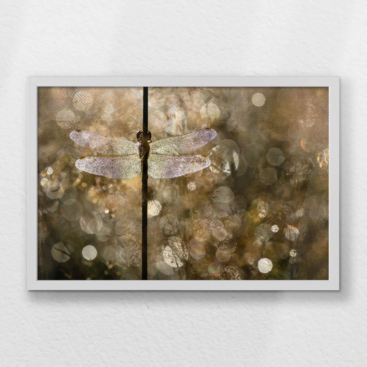 LWW060W040