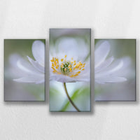 LW-060T040