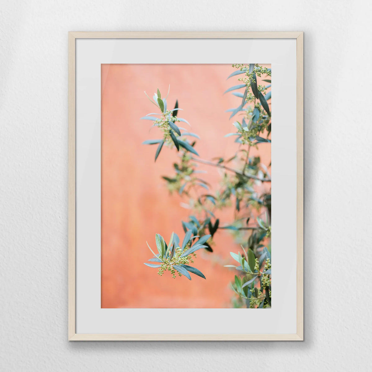 PNP060W080