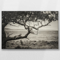LW-045W030