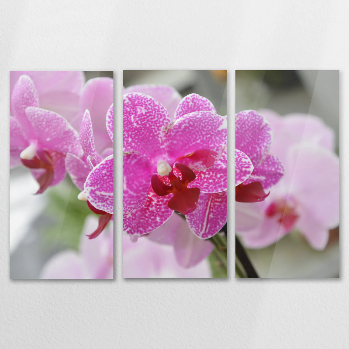 AC-150R100