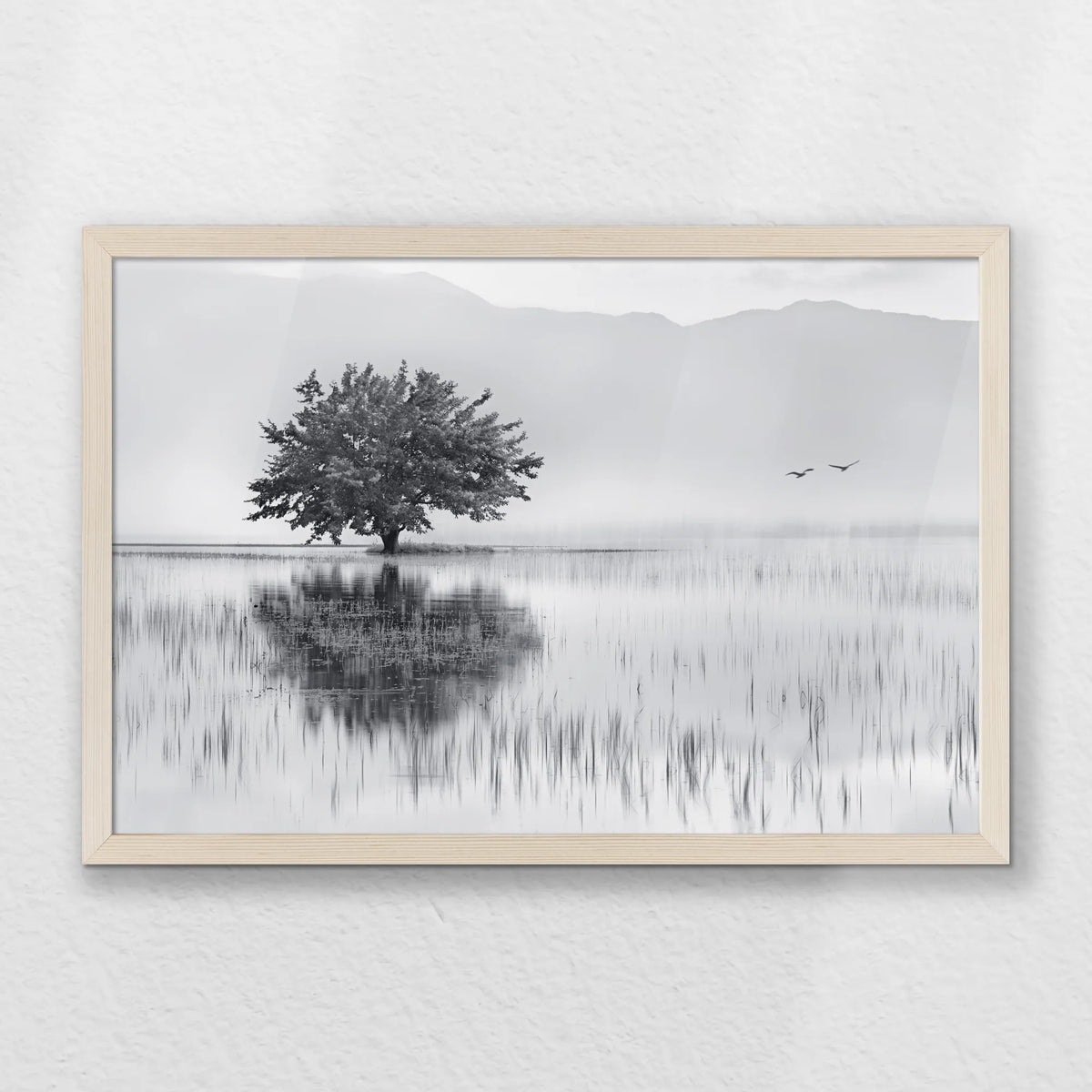 PN-060W040