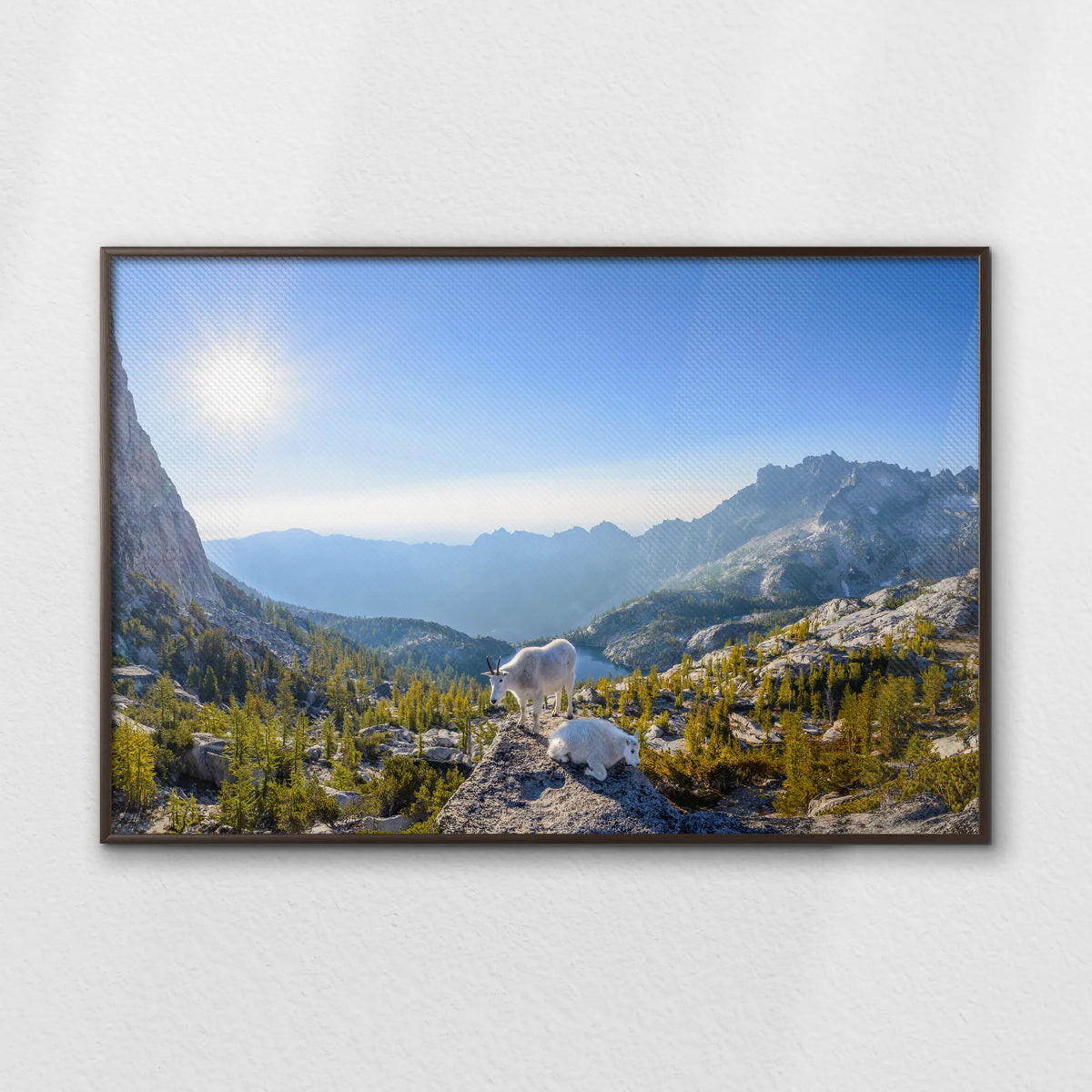 LWN120W080