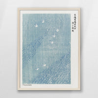 PN-050W070