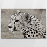 AC-075W050
