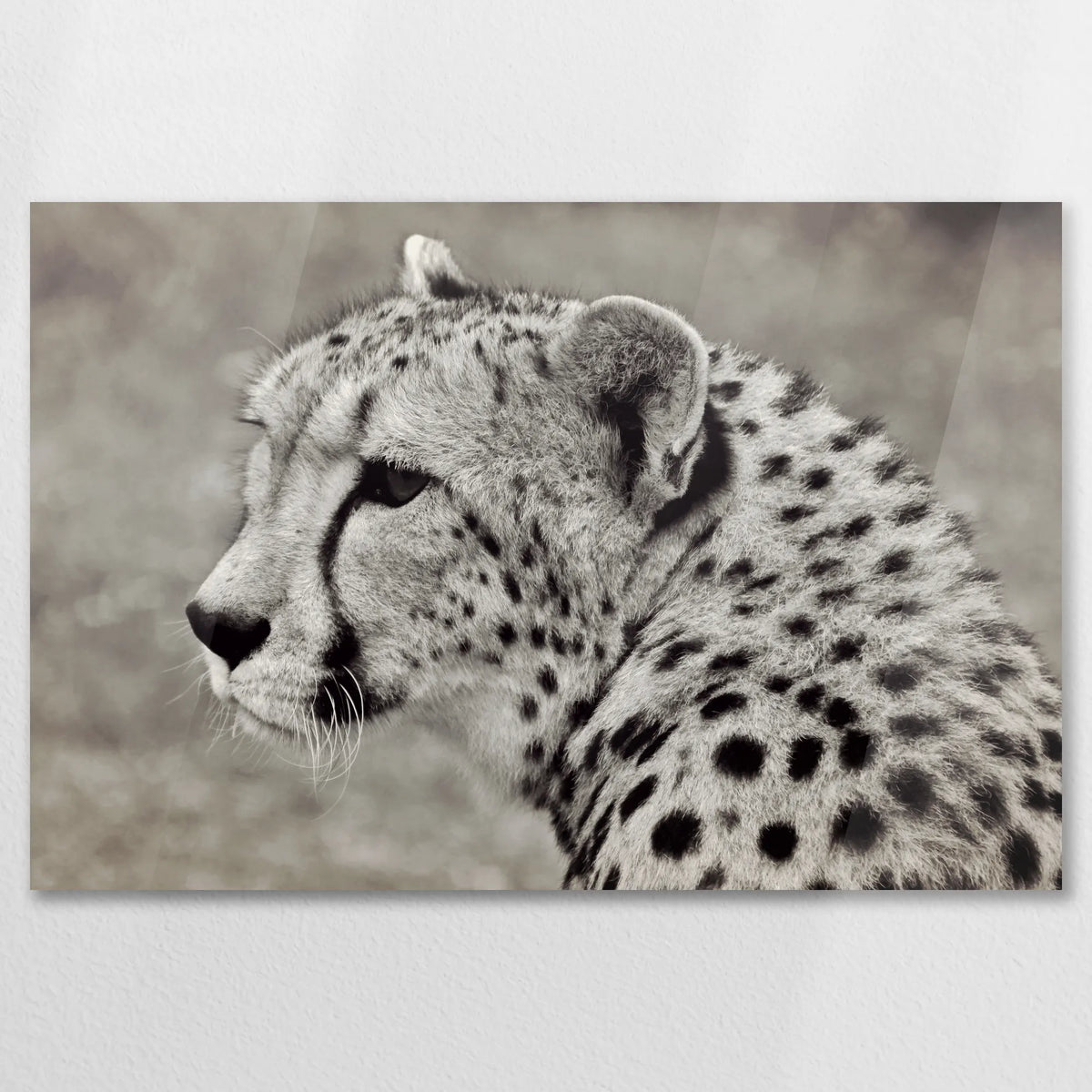 AC-075W050