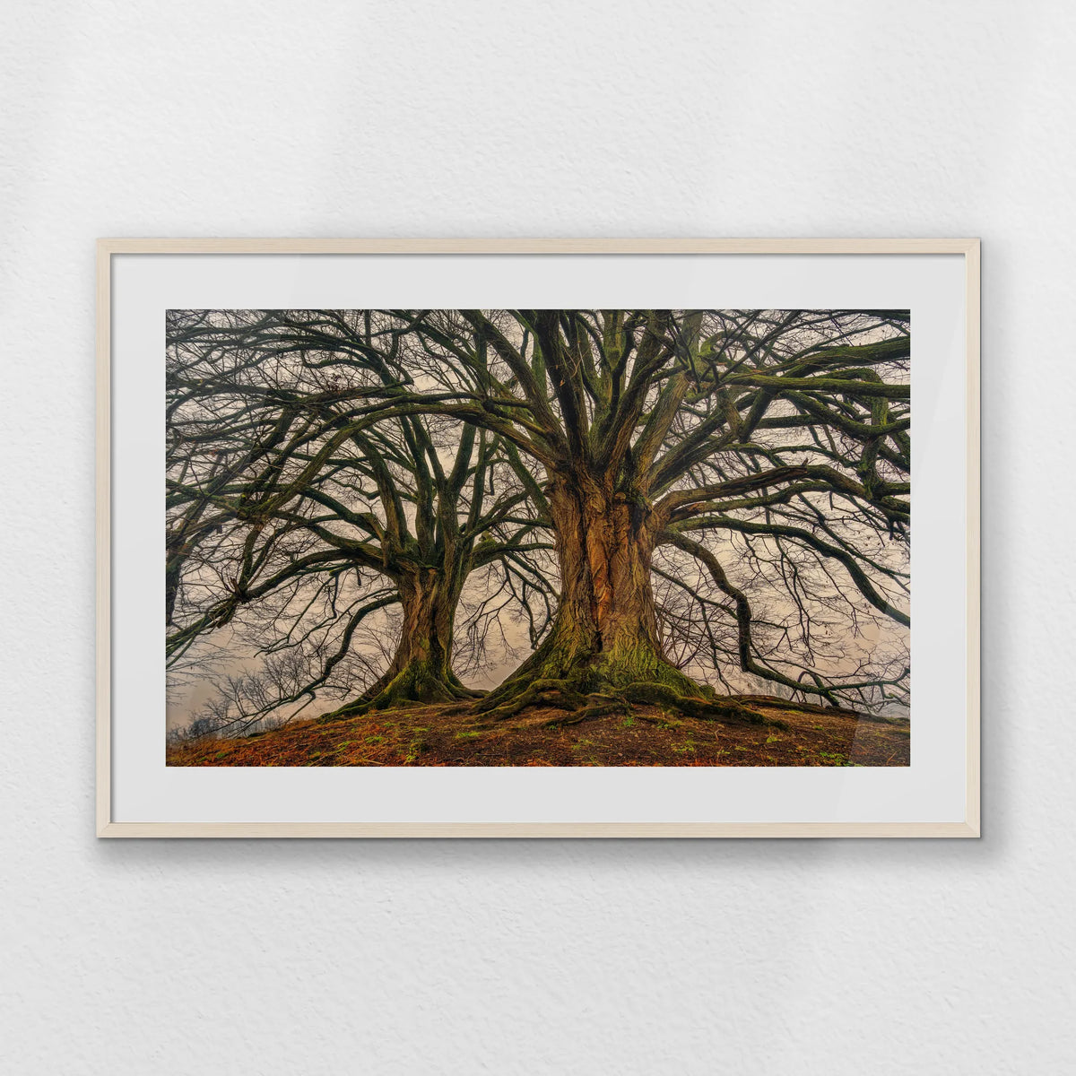 PNP100W070