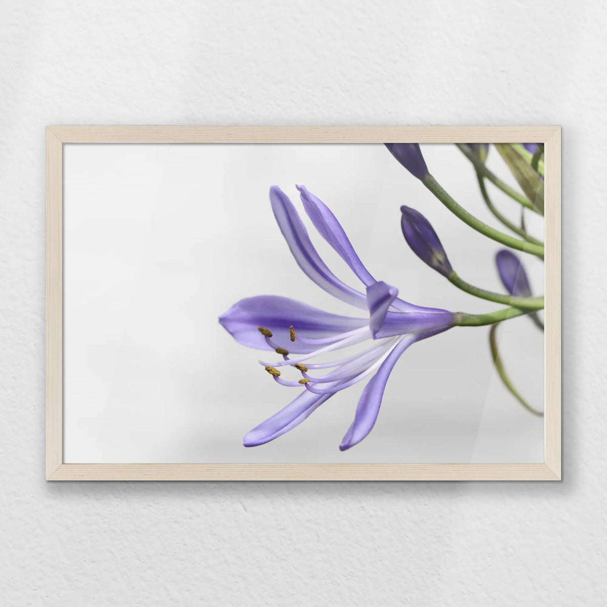 PN-060W040