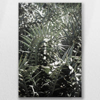 LW-030W045