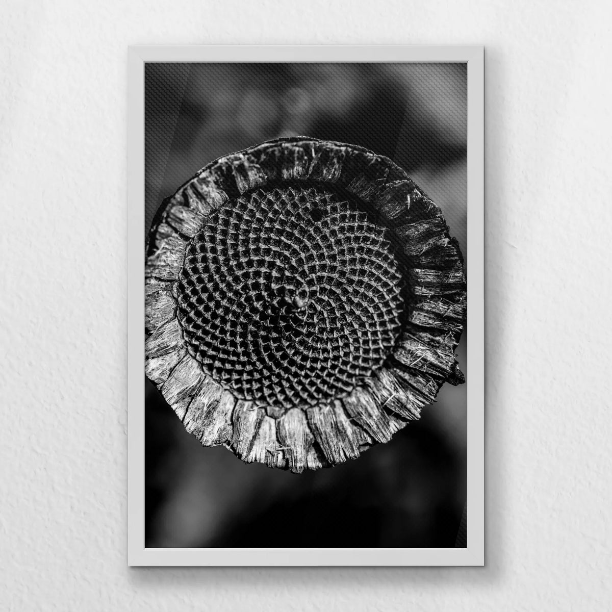 LWW040W060