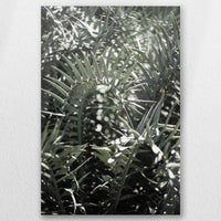 AL-020W030
