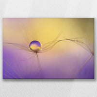 LW-060W040