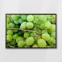 LWN100W070