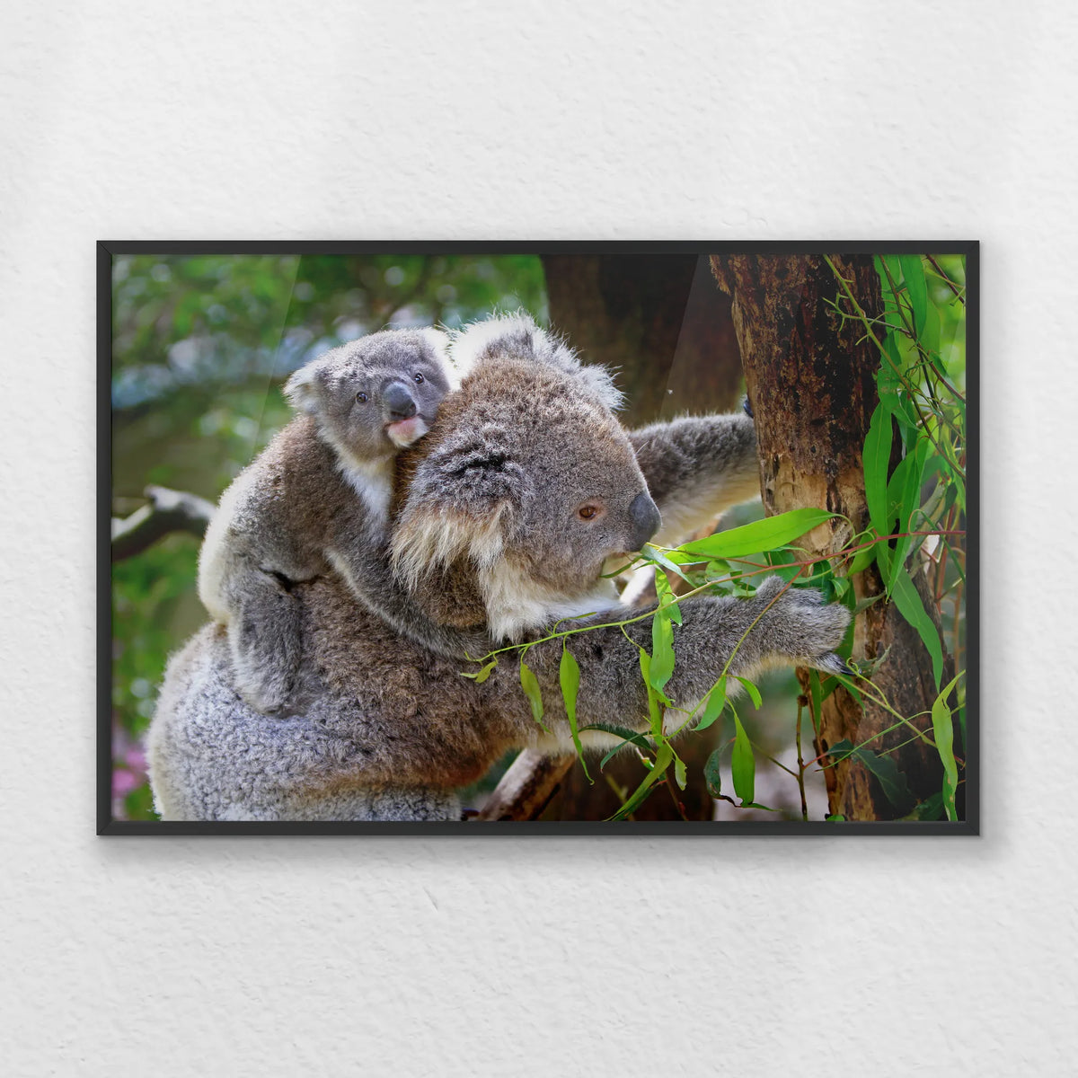 PB-060W040
