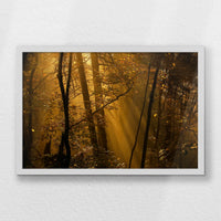LWW060W040